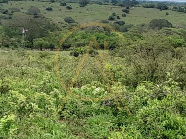 Terreno en Pueblo Tamos