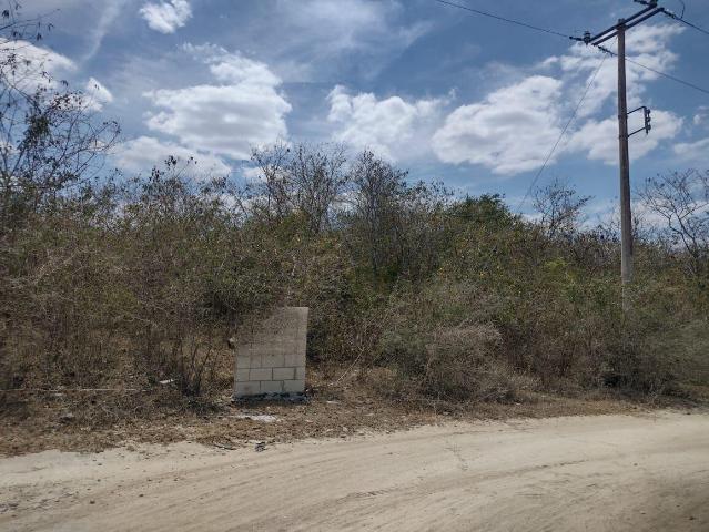 Terreno en Pueblo Teya