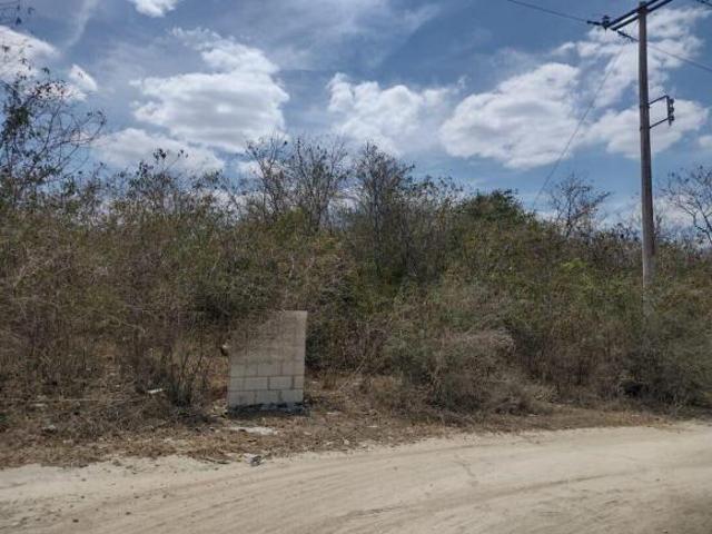 Terreno en Pueblo Teya