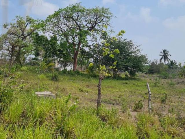 Terreno en Pueblo Viejo