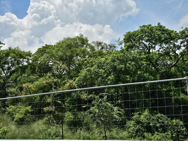Terreno en Pueblo Viejo