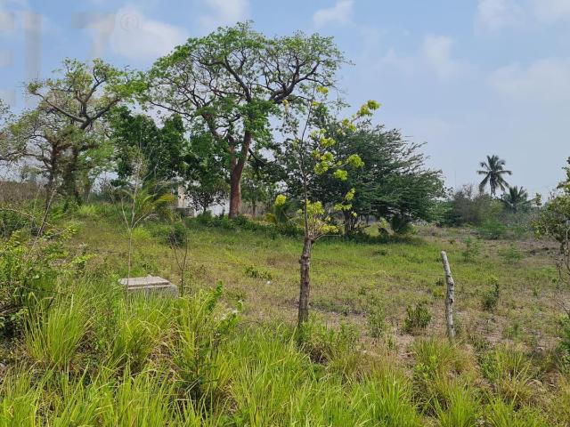 Terreno en Pueblo Viejo