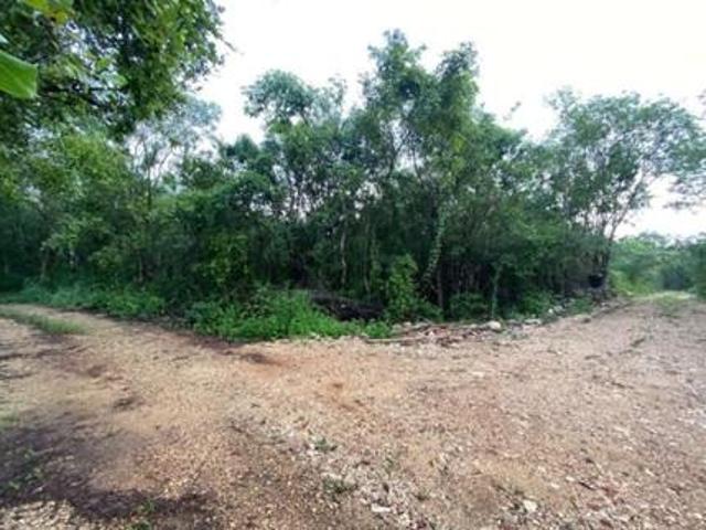 Terreno en Pueblo Yalcon, Valladolid, Yucat?n en VENTA