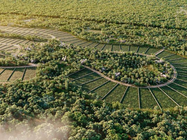 Terreno en Pueblo Yaxcaba