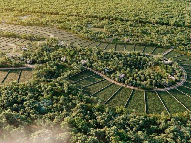 Terreno en Pueblo Yaxcaba
