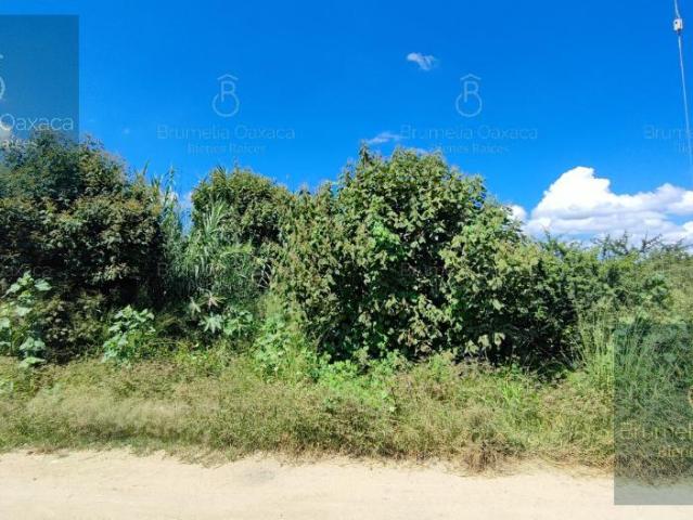 Terreno en Pueblo Guadalupe Etla