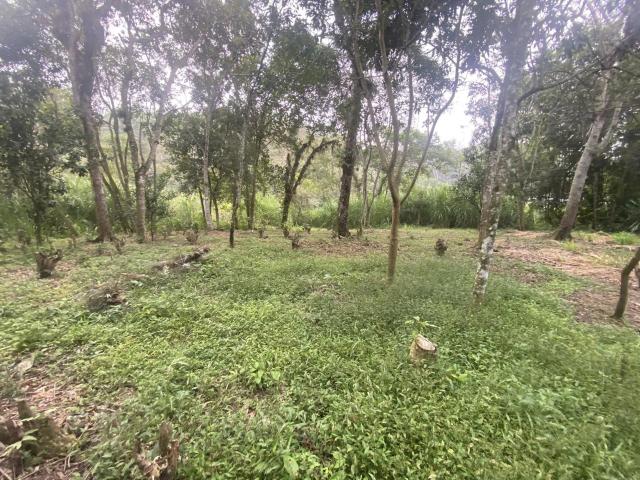 Terreno en Pueblo Pacho Viejo