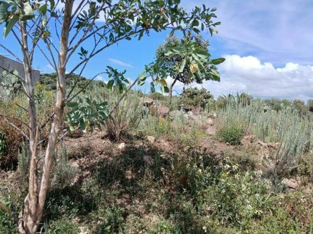 Terreno en Pueblo Santa Mónica