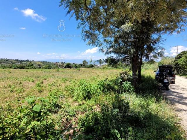 Terreno en Pueblo Santos Degollado Etla