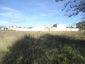 Terreno en Pueblo San Lorenzo Axocomanitla