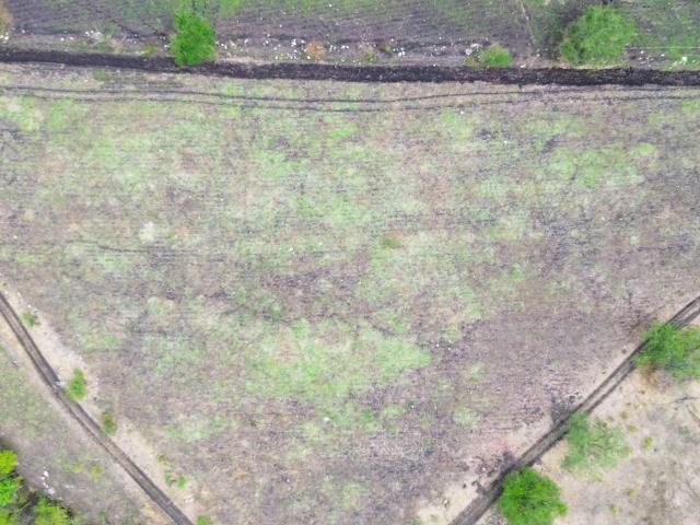 Terreno en Pueblo San Rafael Zaragoza