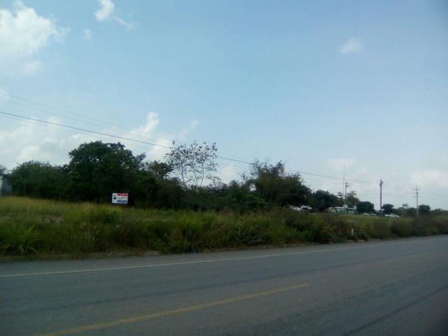 Terreno en Panuco Centro