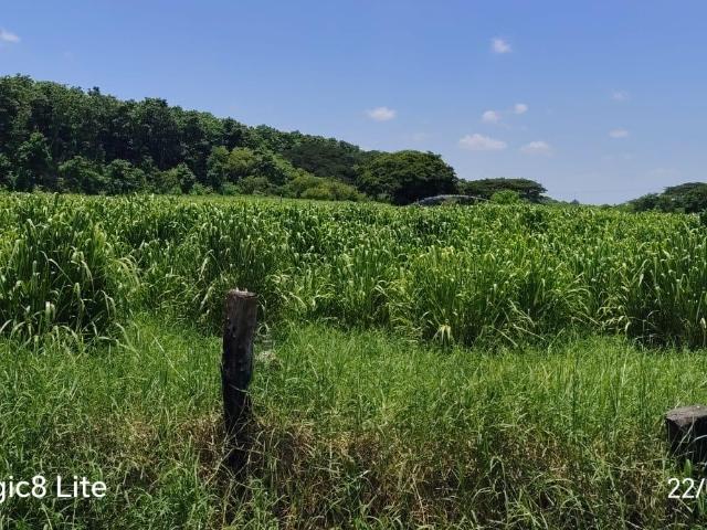 Terreno en Paso de Ovejas