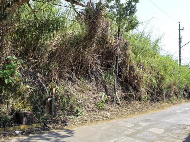 Terreno en Pedregal de las Ánimas