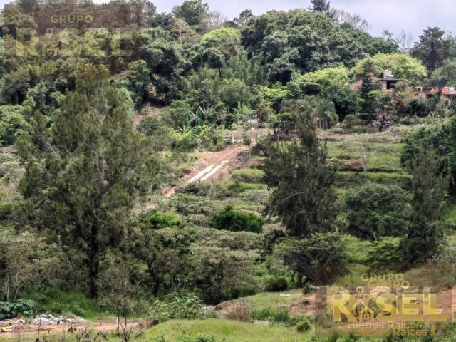 Terreno en Pedregal de las Animas