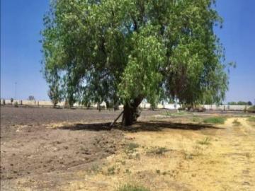 Terreno en Pedro Escobedo