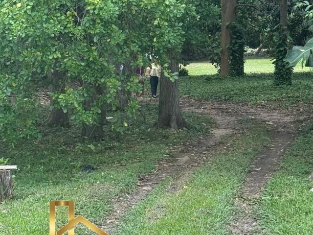 Terreno en Petrolera