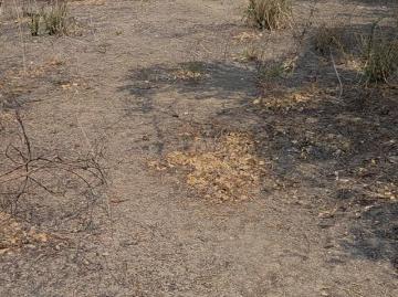 Terreno en piedra verde