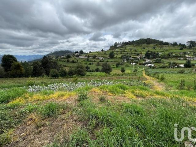 TERRENO EN PLAN DE LA FLOR IXTACAMAXTITLAN PUEBLA