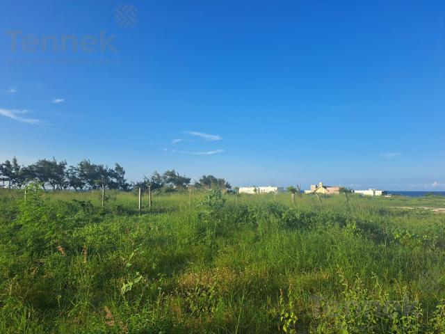 Terreno en Playa Miramar. Ciudad Madero, Tamps