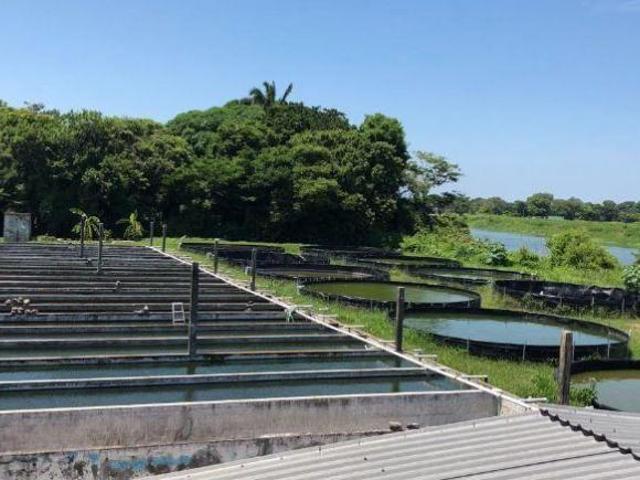 Terreno en Playa de Vacas, 8,363.17m2, excelente oportunidad de inversión, Veracruz