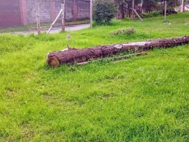 Terreno en popo park, habitacional o comercial con servicios de agua y luz
