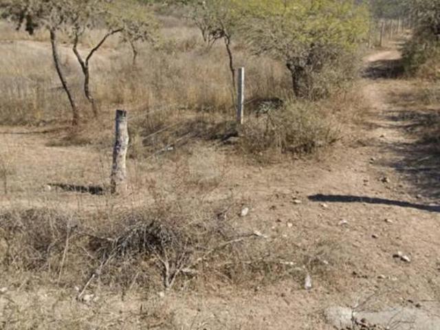 TERRENO EN POZO DEL CARMEN