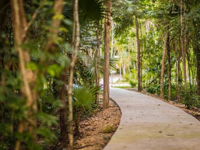 Terreno en pre venta con financiamiento en Playa del Carmen, Mayakoba