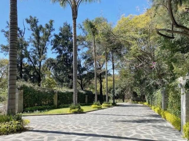 TERRENO EN RANCHO CORTES