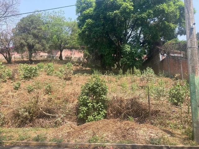 TERRENO EN RANCHO CORTES