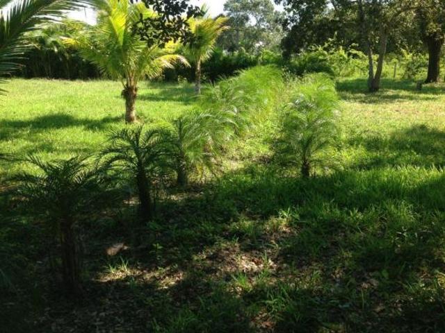 Terreno en Rancho o rancheria Garrapatas