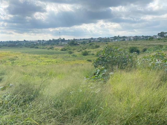 Terreno en Rancho o rancheria La Tortuga