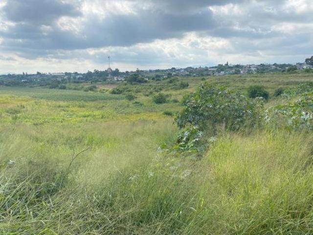 Terreno en Rancho o rancheria La Tortuga