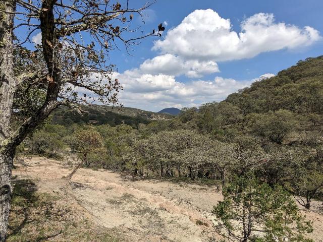 Terreno en Rancho o rancheria La Congoja