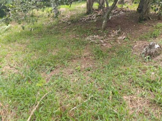 Terreno en Rancho o rancheria Plan Chico