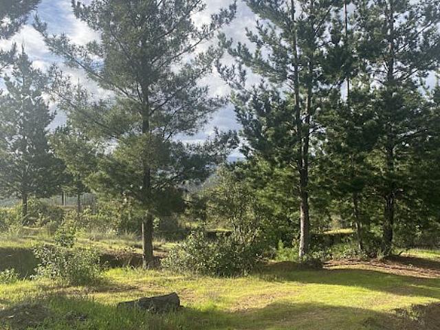 TERRENO EN REGIÒN DEL MAULE LOCALIDAD DE GUALLECO