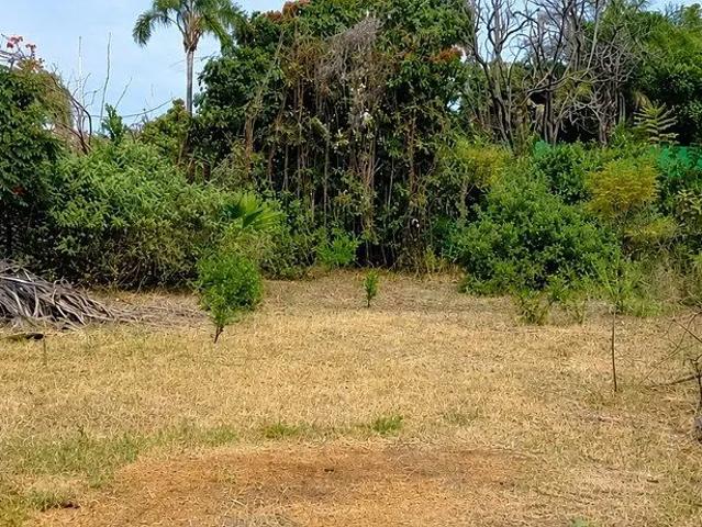 Terreno en Reforma | Excelente Oportunidad de Inversión en una de las Zonas con Mayor Plusvalía