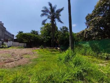 Terreno en Reforma
