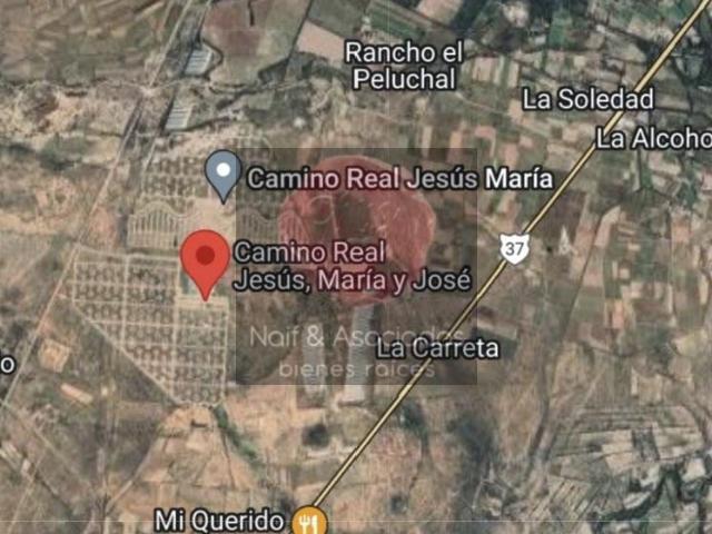 Terreno en REMATE en Villa de Reyes S.L.P. Excelente para casa de campo