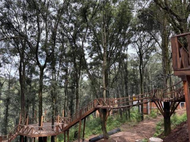 Terreno en remate en Omitlán