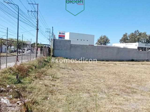 Terreno en Renta Municipio Libre