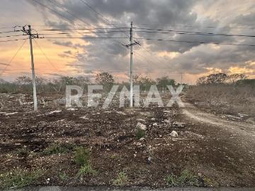 Terreno en renta, MOTUL