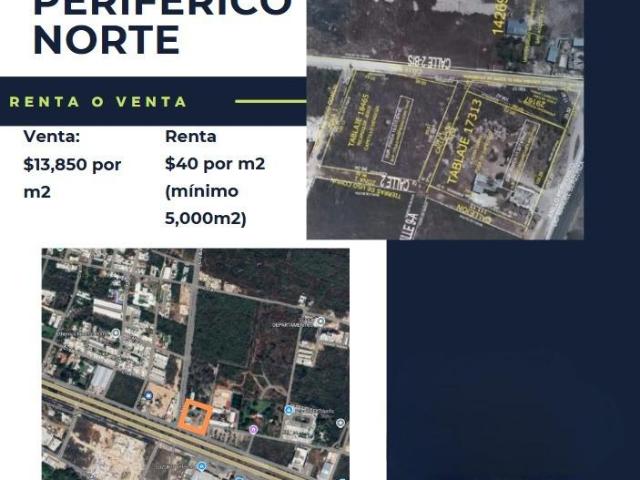 Terreno en Renta o Venta en Periferico Norte, M?rida Yucat?n