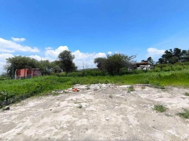 TERRENO EN RENTA A UN COSTADO DEL AUTODROMO DE GDL