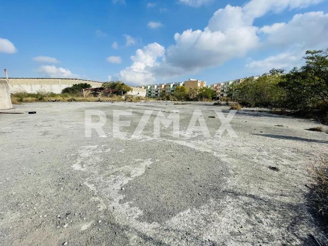 Terreno en Renta Altamira