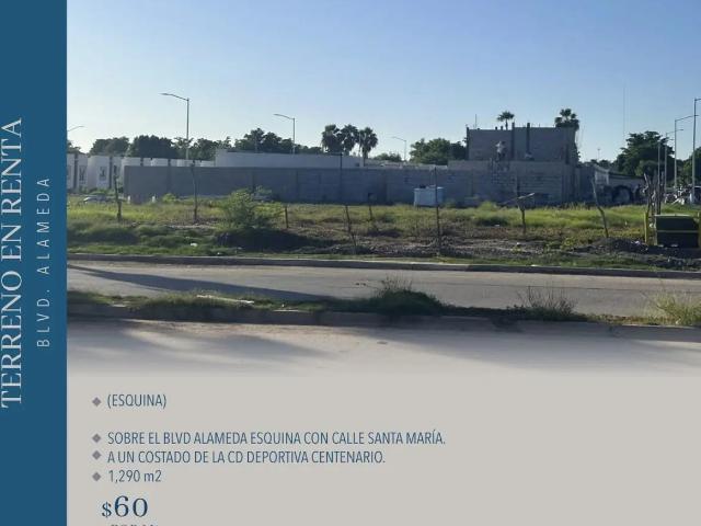 TERRENO EN RENTA BOULEVARD ALAMEDA
