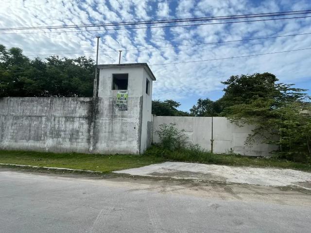 TERRENO EN RENTA C 67