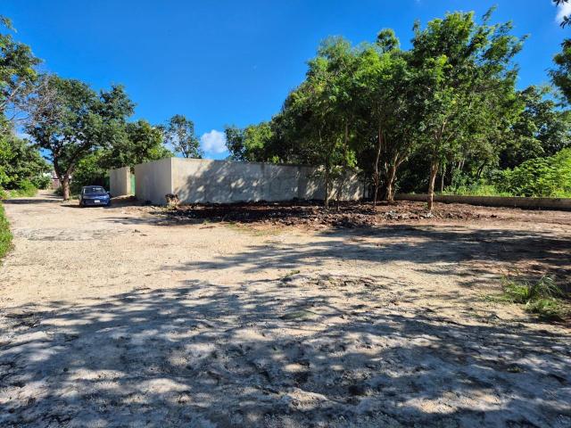 TERRENO EN RENTA, CANC?N, AV. HUAYACAN, QUINTANA ROO SUP 1000 mts ESCRITURADO USO COMERCIAL