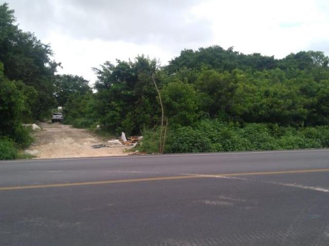 TERRENO EN RENTA, CANC?N, AV. HUAYACAN, QUINTANA ROO SUP 1000 mts ESCRITURADO USO COMERCIAL