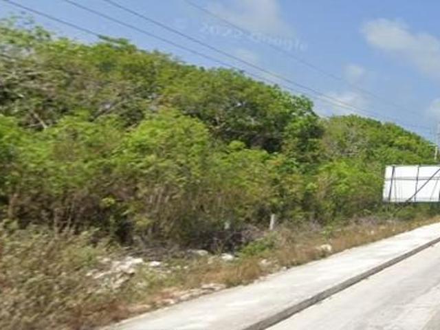 TERRENO EN RENTA CARRETERA FEDERAL 307 CANC?N TULUM